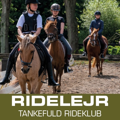 Miniridelejr Tankefuld Rideklub